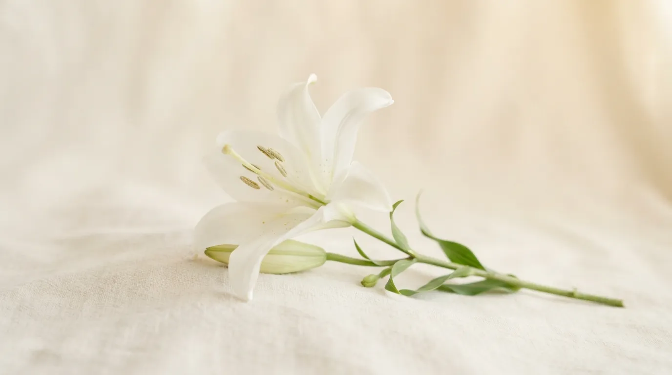 Lily Name Meaning in the Bible